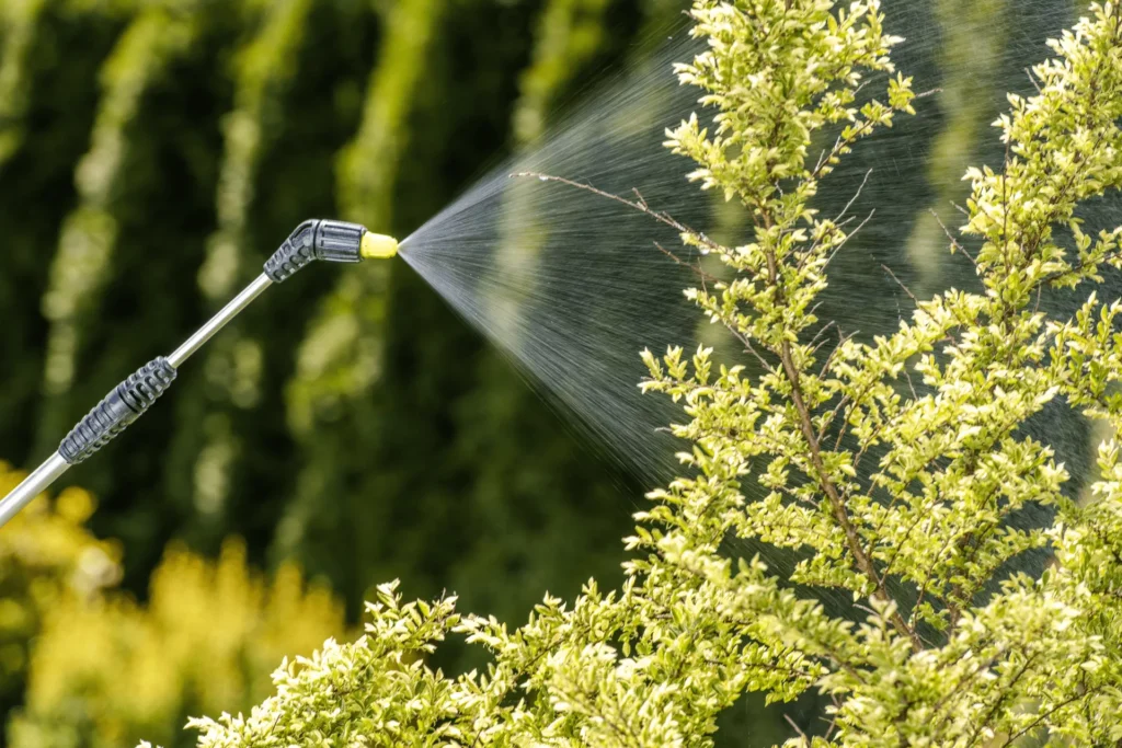 microorganismos aplicados vía foliar